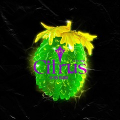 Citrus // 003 [17.01.21]