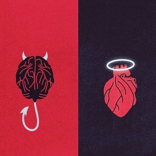lsd interlude