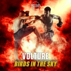 Volture - Birds In The Sky