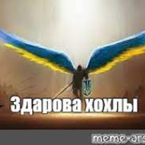 котенок пялит на ботинки