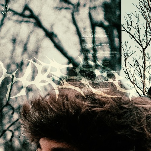 WAIT UP (with Atlas in Motion)