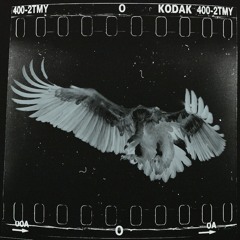 (@margiellaflame) - Dracula 25 b.C. [STARBOY REMIX]