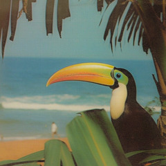 Le Toucan (TECHNO)