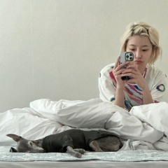 은우 - Stella:P