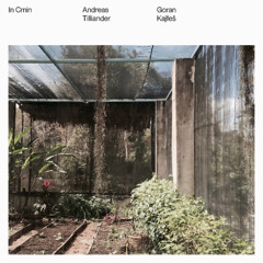Andreas Tilliander & Goran Kajfes - In Cmin PREVIEW (Out April 2025)