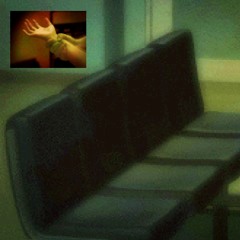 Shadow Theory- Guardian EP