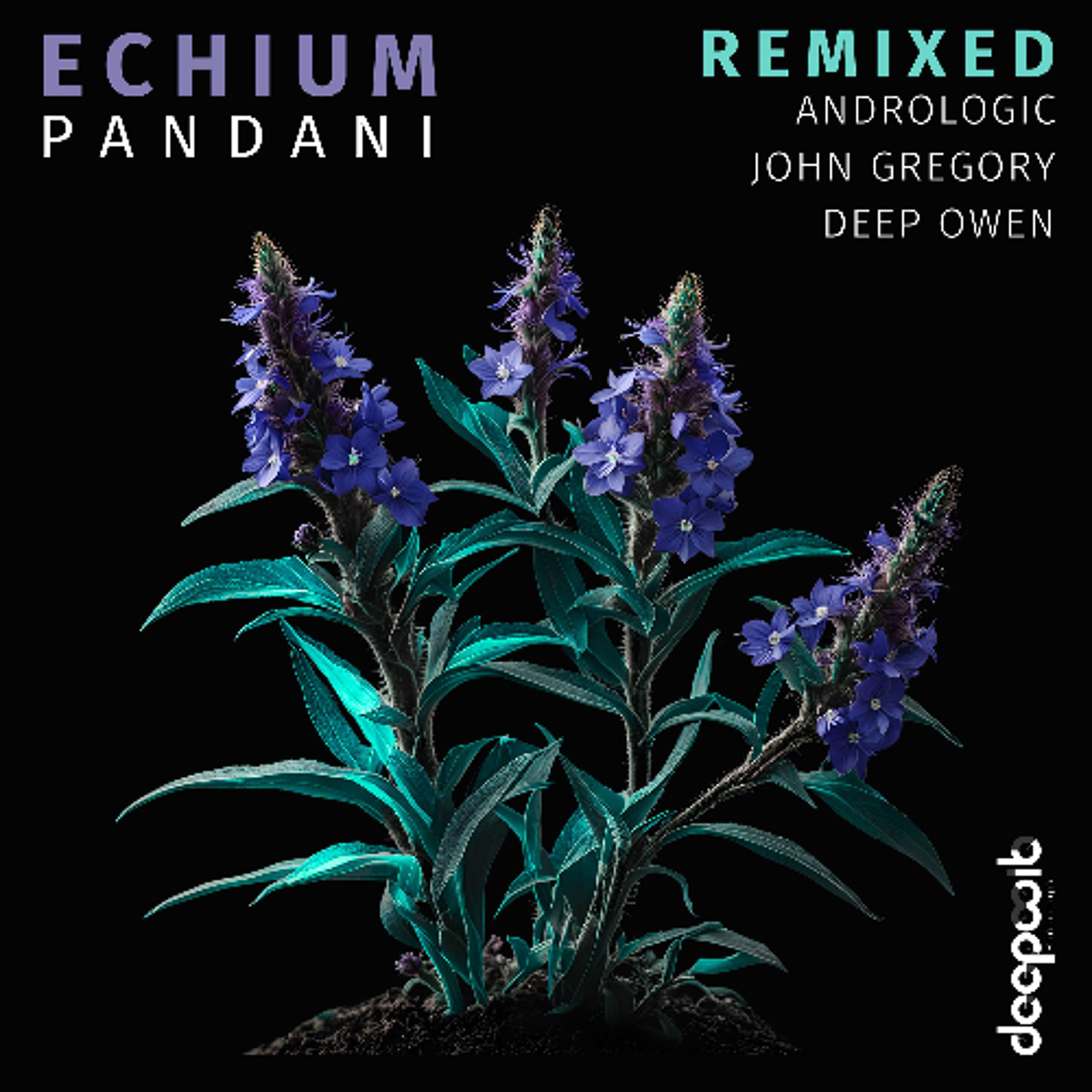 Pandani - Echium REMIXED