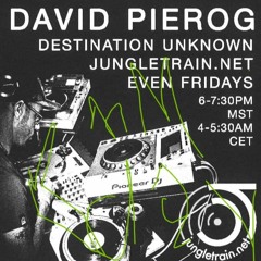 David Pierog Destination Unknown LIVE from Youngtown USA072823