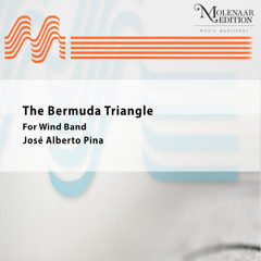 The Bermuda Triangle  - José Alberto Pina