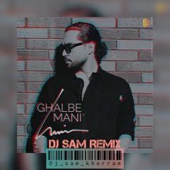 Haamim - Ghalbe Mani (Remix) - Love