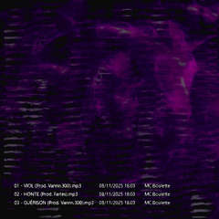 VIOL (ProdBy. Vannn.300)