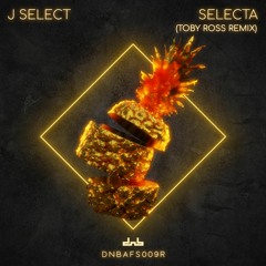 J Select - Selecta (Toby Ross Remix)