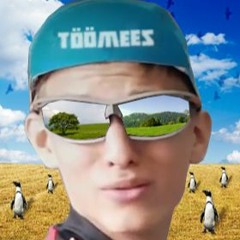 Töömees