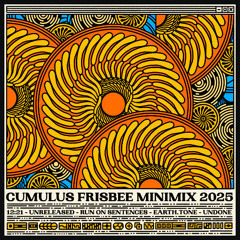 MINIMIX 2025