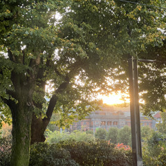 Jeg våkner, skrur av lyset og legger meg. Dette er et godt liv, viser det seg