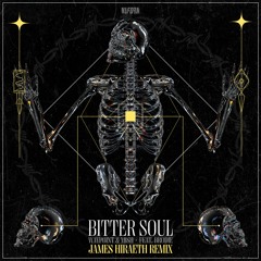 Waypoint, Mish - Bitter Soul (ft. brodie) (James Hiraeth Remix)