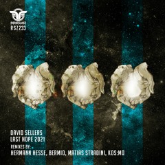 David Sellers - Last Hope (Bermio Remix)
