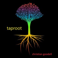 TAPROOT - Christian Goodell - Live @ The Deep Down - 4-17-21