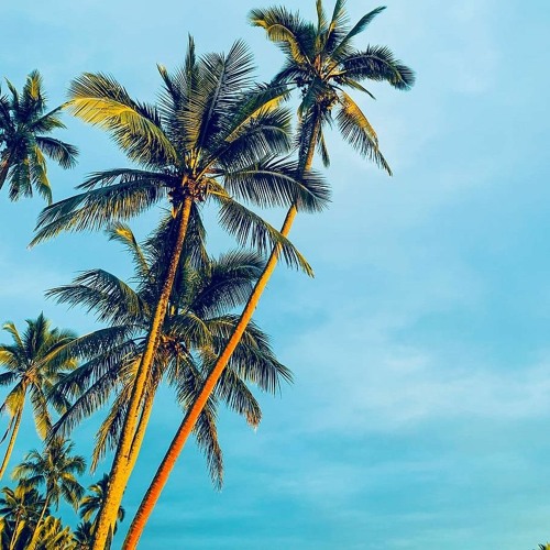 ROSI NI BUA [ DEETHRONE REMIX ] 2020 ツ