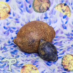 Citrus Lavender Shuttle