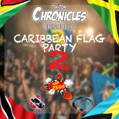TikTok Chronicles Episode 6: Caribbean Flag Party 2 // FT DJTNT