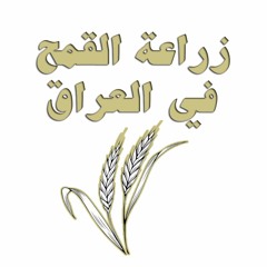 محصول القمح في العراق | 2023