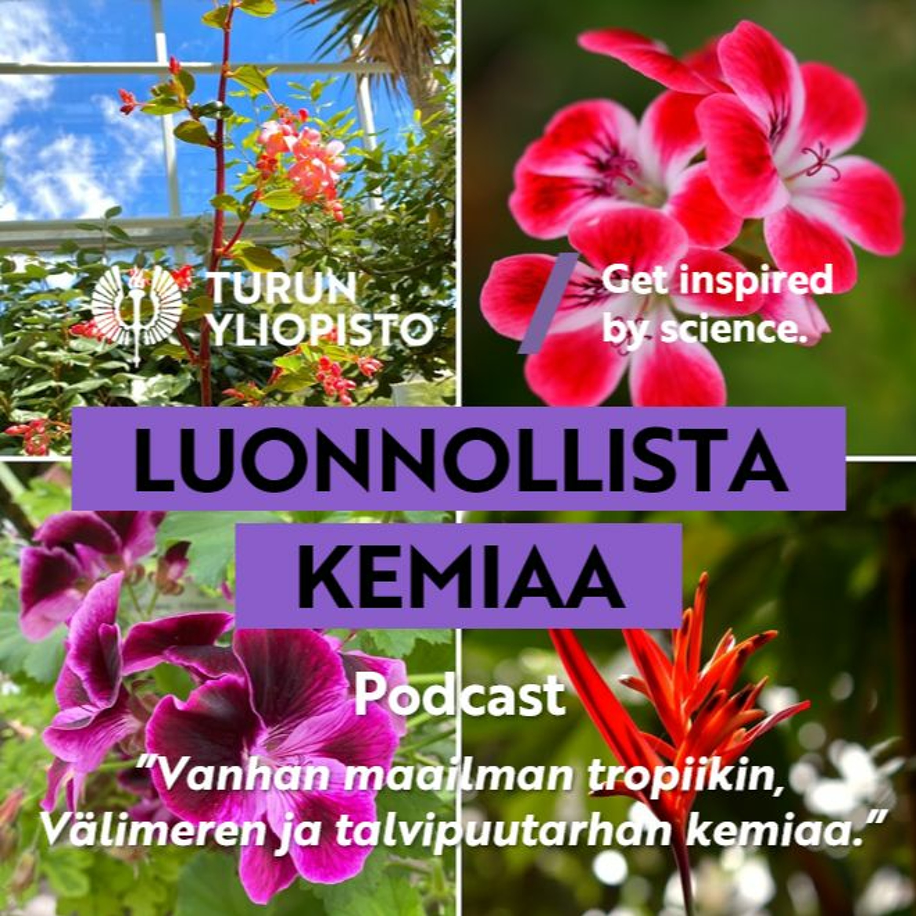 Luonnollista kemiaa: Vanhan maailman tropiikin, Välimeren ja talvipuutarhan kasvien kemiaa episode artwork