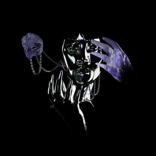 Cascading Fields Of Chamomile