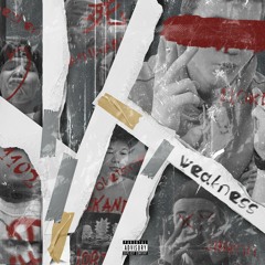 1102, bezhenec, broketamer, RA1NHARD, ЛЕКОН, ДОКИ - WEAKNESS