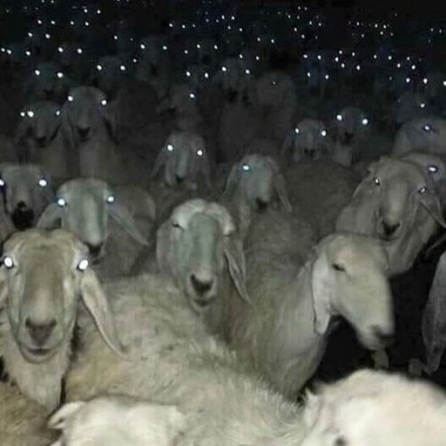 unnepekre dobalozos