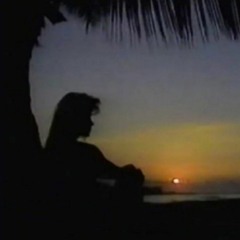 paradise found