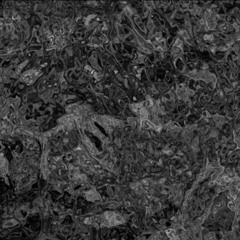 ditch & Kazuhiro Takeda