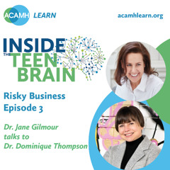 Inside the Teen Brain - 'Risky Business'