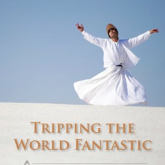 [READ] EPUB 🗃️ Tripping the World Fantastic: A Journey Through the Music of Our Plan