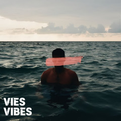 VIES VIBES - Soul | OUT NOW