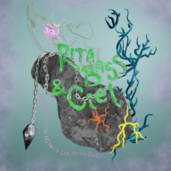 PREMIERE: RITA BASS - Shaped Curve (Ciel's Deja-vu Dub Mix) [56K Records]