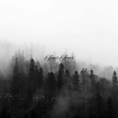 Amor amor (prod. Kngzzz)