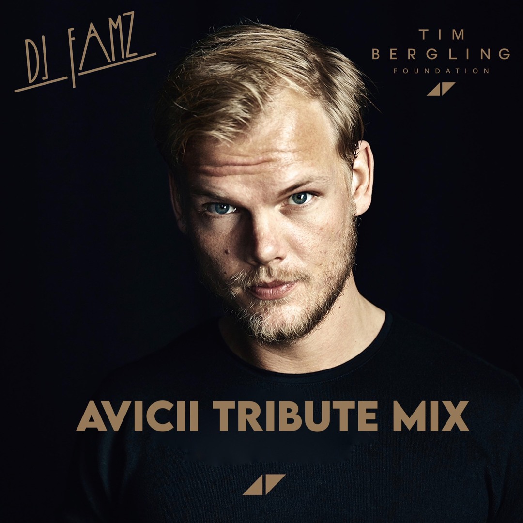 洋楽 AVICII / TIM Avicii 