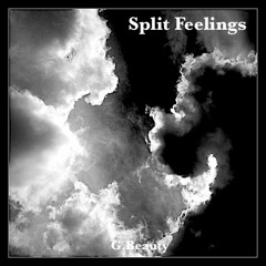 Split Feelings(Freestyle)v1