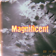 Magnificent