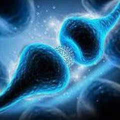 A-Negative - Serotonin Overdose