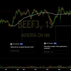 Minerva (BEEF3) deverá ter margens melhores no 3T23, período de boi muito barato