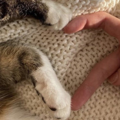 The Toxic Tale (Ft.Toxic Jody)