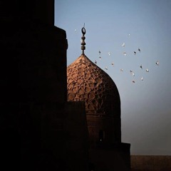 من سورة هود