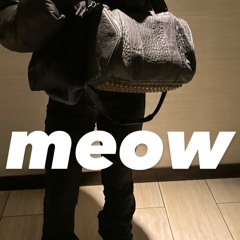 MEOW prod.@dex
