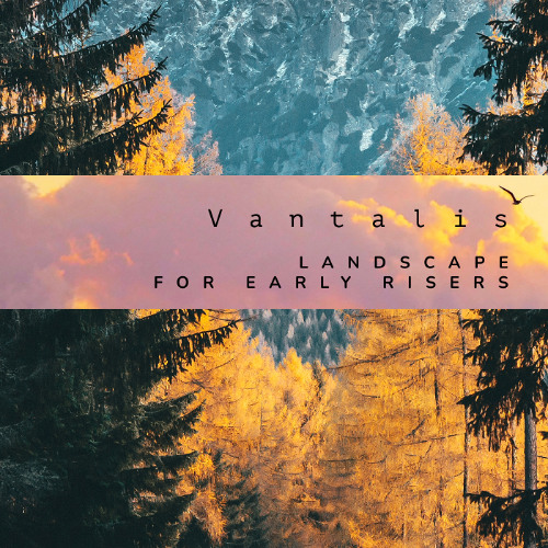 Ambient Relaxing Music