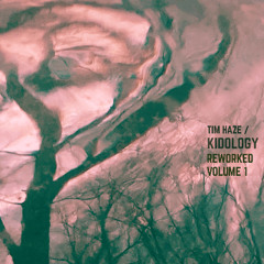 Kidology (Robertbusha's Broken Disco Remix)