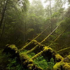 Over (Alan Walker Tired Remix)