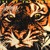 Artwork for Survivor - Eye of the Tiger (Glazur & XM Extended Remix)