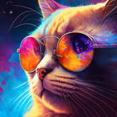 House Catz